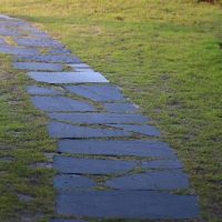 Path